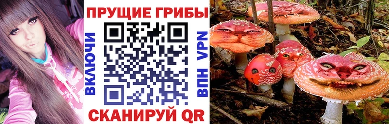 даркнет сайт  Арамиль  OMG ССЫЛКА  Псилоцибиновые грибы GOLDEN TEACHER 
